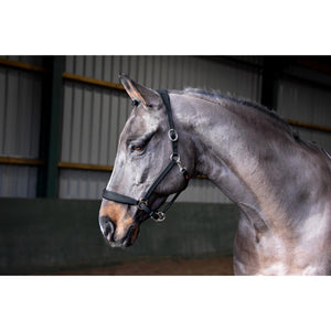 JOHN WHITAKER READY TO RIDE HEADCOLLAR