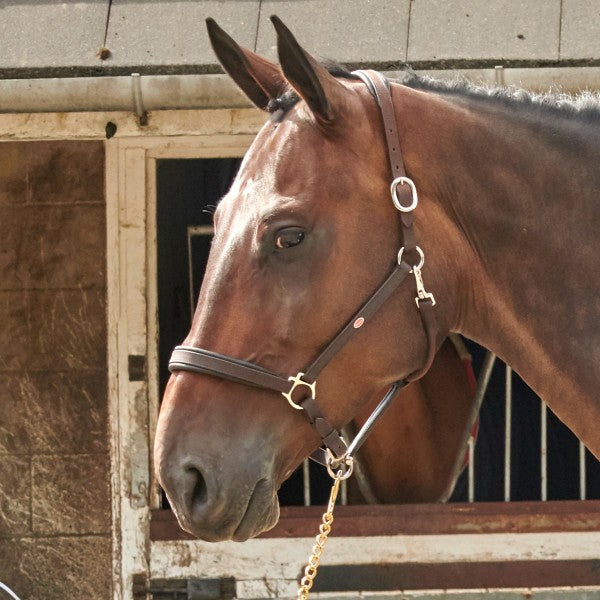 JOHN WHITAKER READY TO RIDE HEADCOLLAR