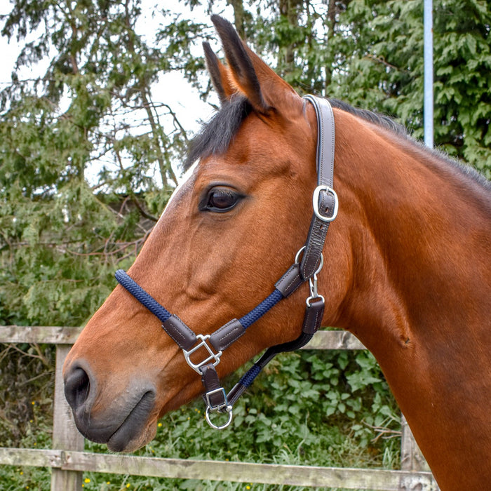 JOHN WHITAKER RAYWELL SOFT ROPE HEADCOLLAR
