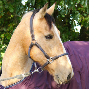 JOHN WHITAKER RAYWELL SOFT ROPE HEADCOLLAR