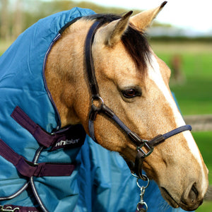 JOHN WHITAKER RAYWELL SOFT ROPE HEADCOLLAR