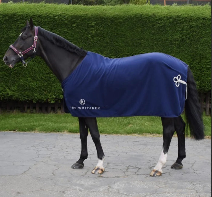 John Whitaker Helsinki Show Rug
