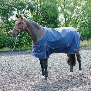 JOHN WHITAKER RASTRICK 200G TURNOUT RUG