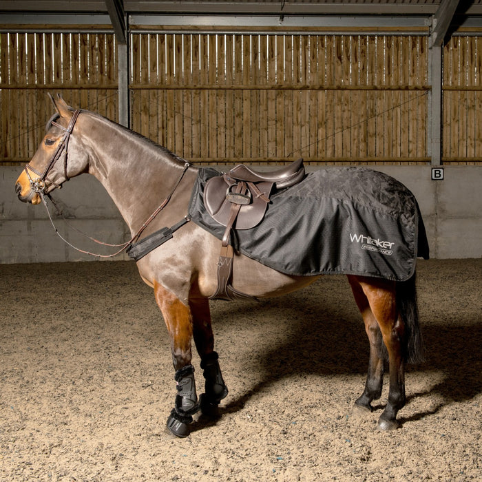 JOHN WHITAKER SYDNEY REFLECTIVE EXERCISE SHEET