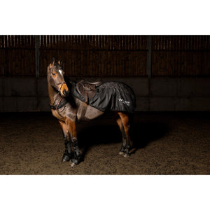 JOHN WHITAKER SYDNEY REFLECTIVE EXERCISE SHEET