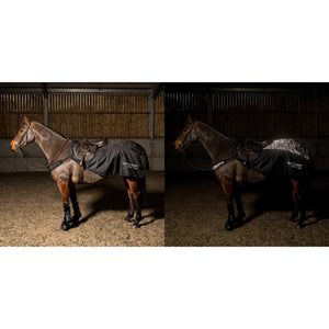 JOHN WHITAKER SYDNEY REFLECTIVE EXERCISE SHEET