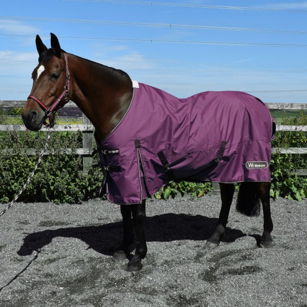 JOHN WHITAKER THISTLE 100G TURNOUT RUG