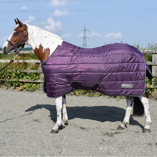 JOHN WHITAKER THISTLE 200G STABLE RUG