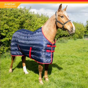JOHN WHITAKER THOMAS 250G STABLE