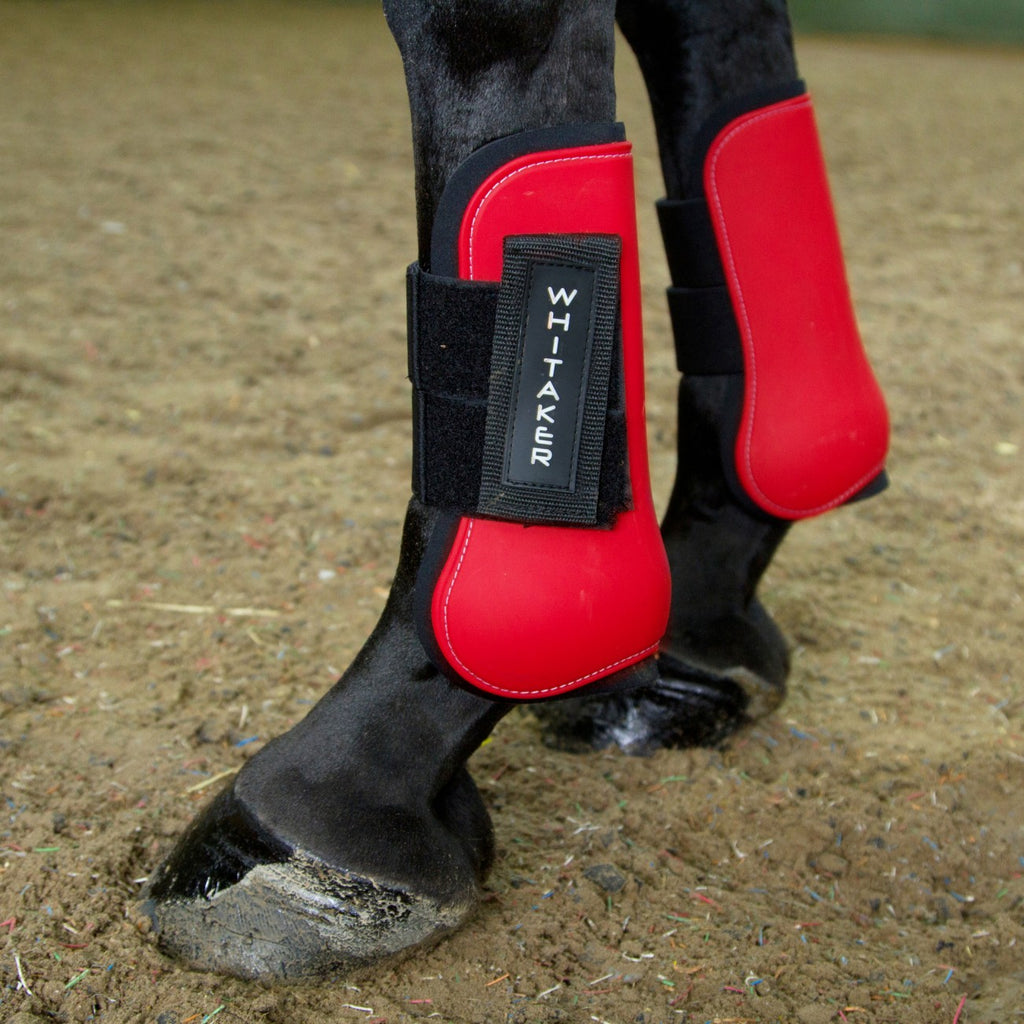 JOHN WHITAKER SKIPTON TENDON AND FETLOCK BOOTS - SET OF 4